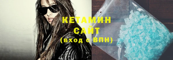 амф Тайга