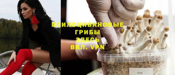 амф Струнино