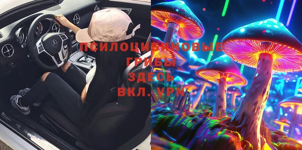 PSILOCYBIN Ступино
