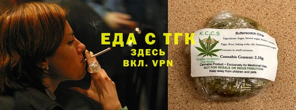 амф Тайга