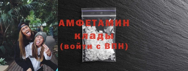амф Тайга