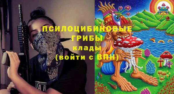 амф Струнино