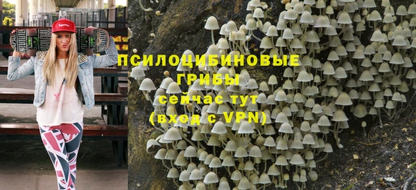 амф Струнино