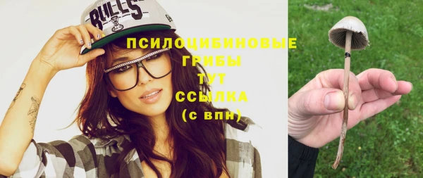 PSILOCYBIN Ступино