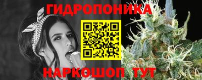 прущие крисы Донской