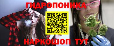 скорость Дубна